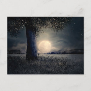 Magical Night Moon Postcard
