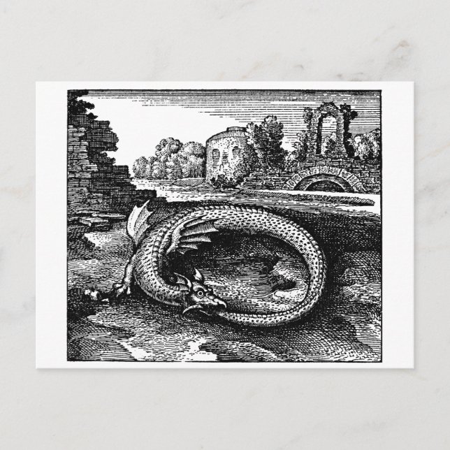 Magical Ouroboros Dragon Postcard (Front)