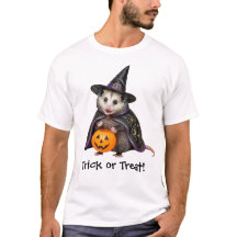 Magical Possum