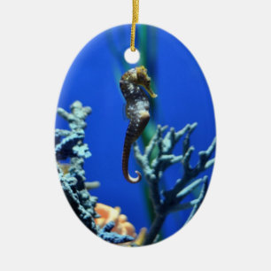 Magical Seahorse Ceramic Tree Decoration
