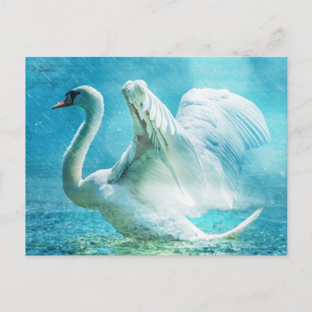 Magical Swan During a Summer Shower Postcard (Front)