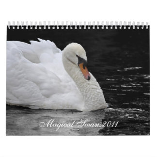 Magical Swans 2011 Calendar