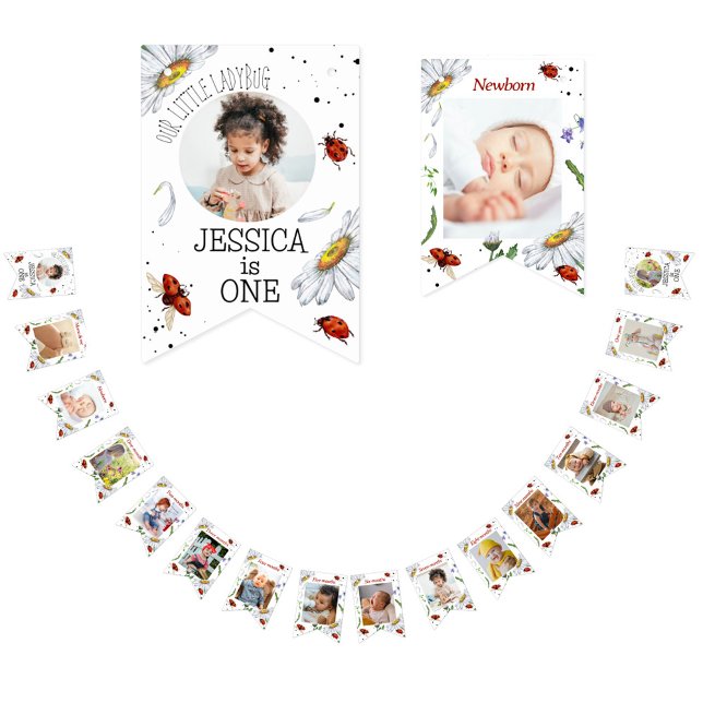 Magical Watercolor Cute 1st Birthday Ladybug Bunti Bunting (Creator Uploaded)