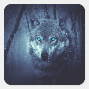 Magical Wild Wolf with Amazing Blue Eyes Square Sticker