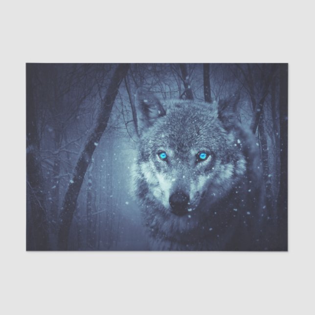 Magical Wild Wolf with Amazing Blue Eyes Tissue Paper (Front)