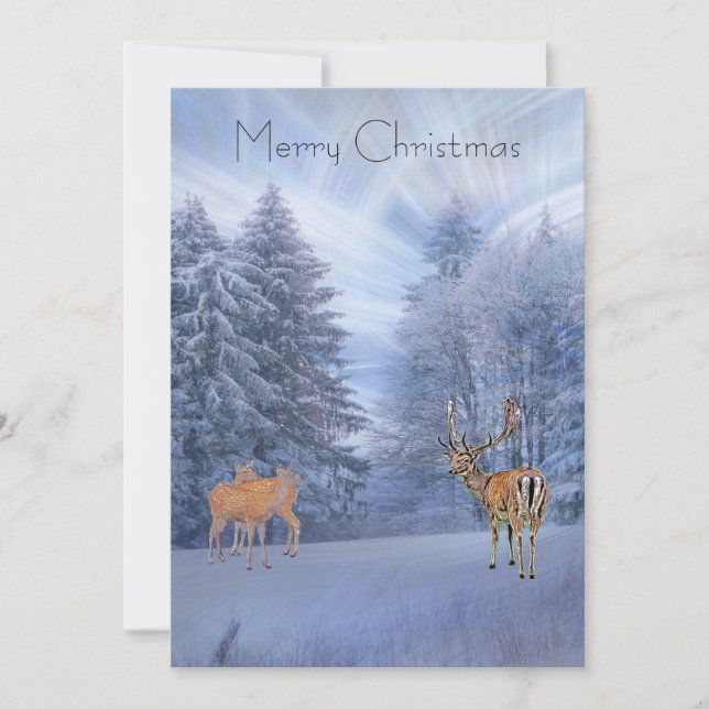 Magical winter forest with deer, custom christmas  holiday card (Front)