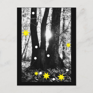 Magical Winter Tree Postcard