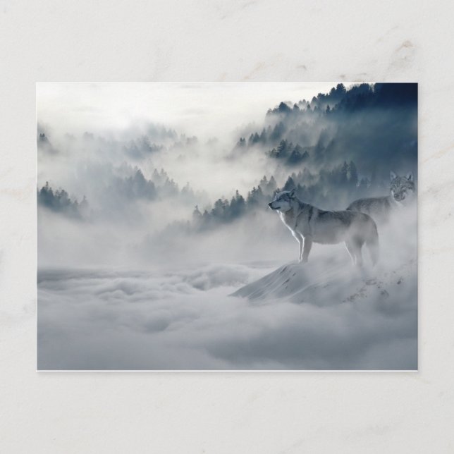 Magical Wolfs Winter Art Photo Postcard (Front)