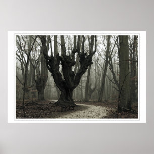 Magical Wood Poster