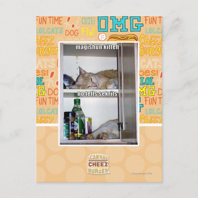 Magishun Kitteh Postcard (Front)