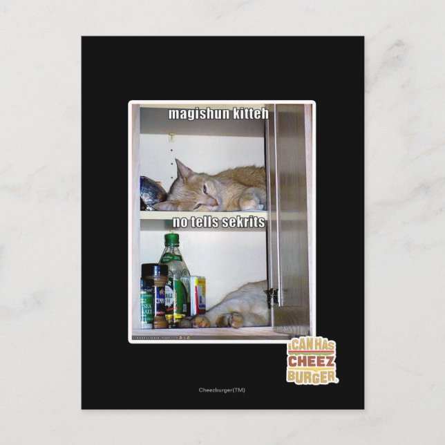 Magishun Kitteh Postcard (Front)