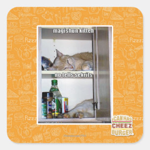 Magishun Kitteh Square Sticker