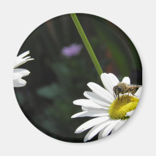 Magneet Margriet Magnet