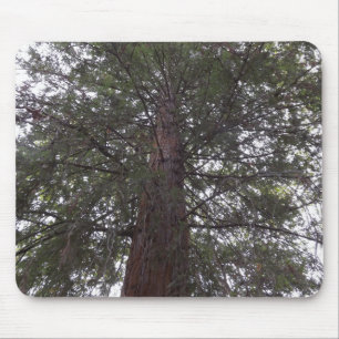 Magneficent Tree Mouse Mat