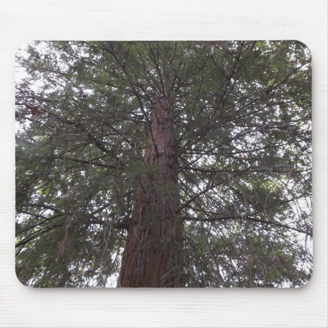 Magneficent Tree Mouse Mat (Front)
