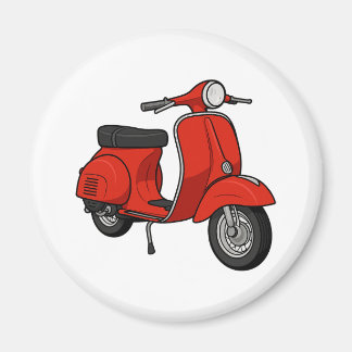 Magnet