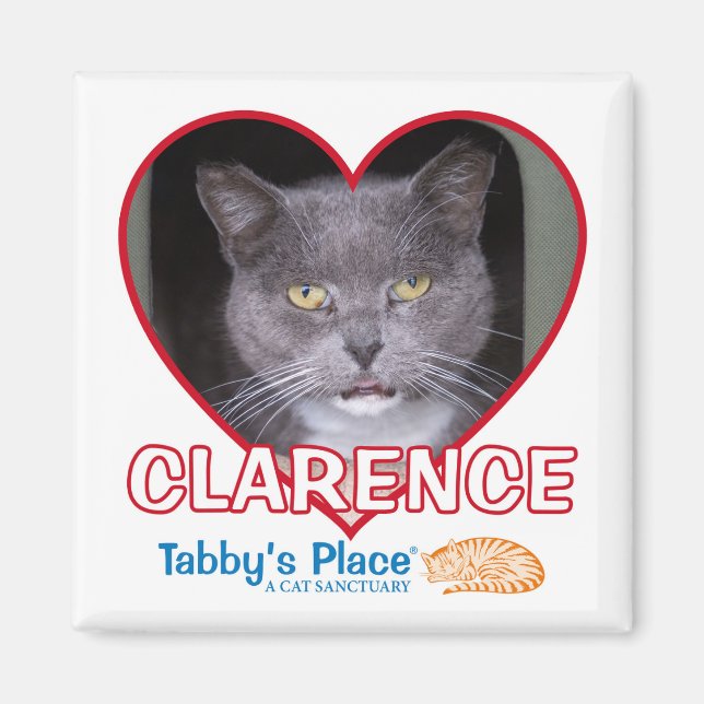 Magnet (Front)