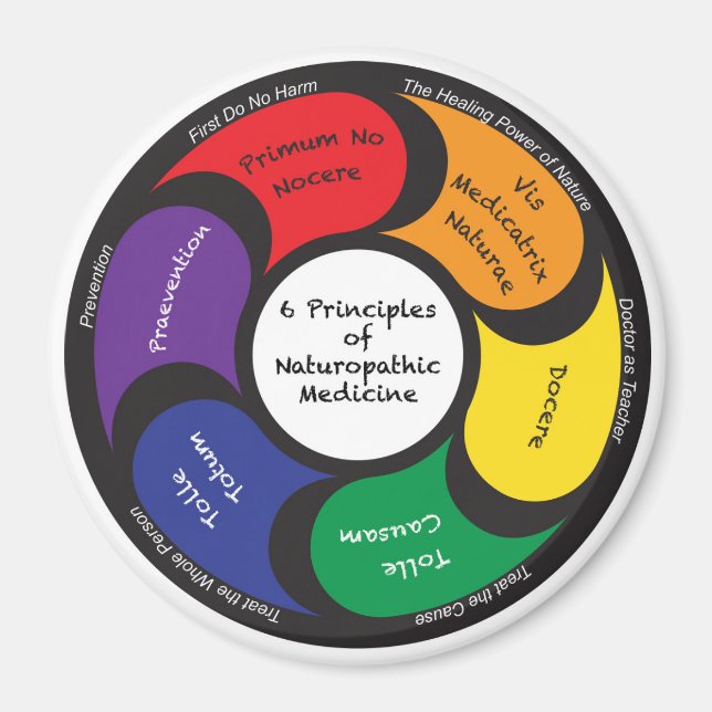 Magnet - 6 Principles of Naturopathic Medicine (Front)