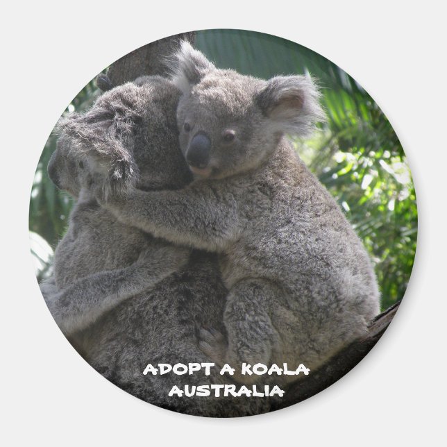 Magnet Adopt A Koala Australia ZIZZAGO (Front)