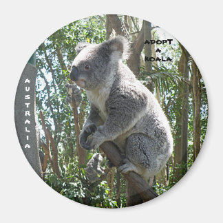 Magnet Adopt A Koala Australia ZIZZAGO