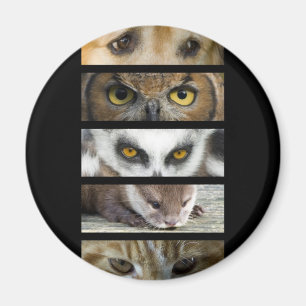 Magnet - Animals Eyes