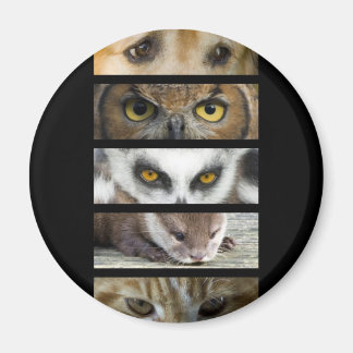 Magnet - Animals Eyes