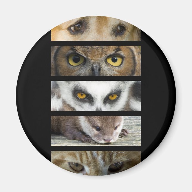 Magnet - Animals Eyes (Front)