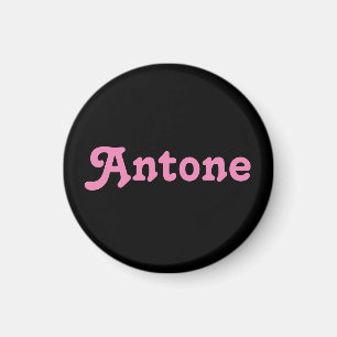 Magnet Antone