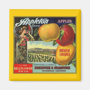 MAGNET ~ APPLETON BRAND APPLES VINTAGE FRUIT LABEL