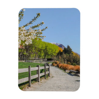 Magnet - backdrop of Walter's peak