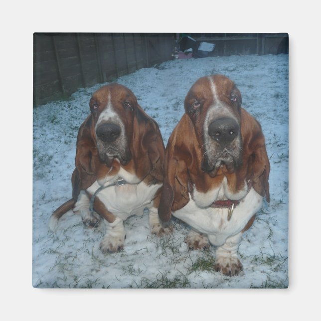 Magnet Basset Hound Brothers (Front)