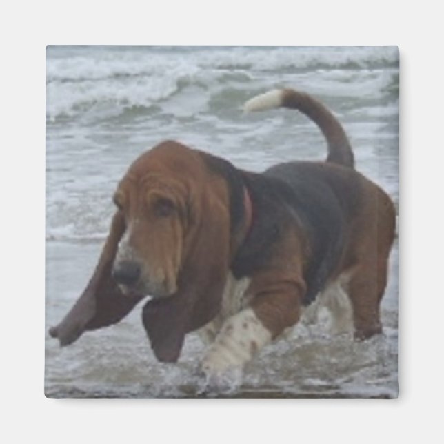 Magnet Basset Hound By The Sea (Front)