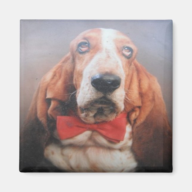 Magnet Basset Hound Red Bow Tie (Front)