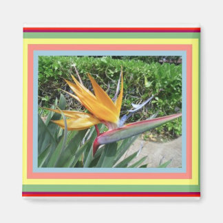 Magnet-Bird of Paradise Magnet