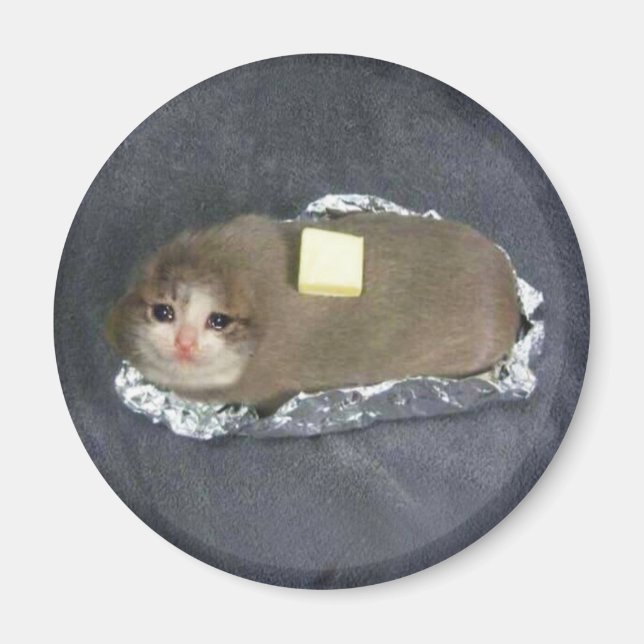 Magnet Butter Cat Meme (Front)