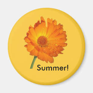 Magnet - Calendula on Stem