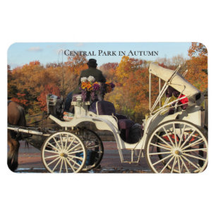 Magnet -- Carriage in NYC Central Park