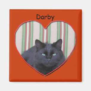 Magnet - Cat in Heart Shaped Frame