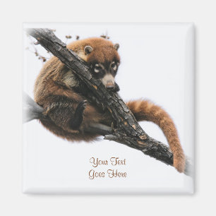 Magnet: Coatimundi #5 (Square) Magnet