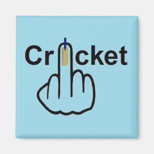Magnet Cricket Flip