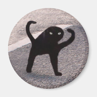 Magnet Cursed Cat Meme