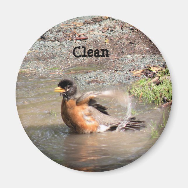 Magnet, Dishwasher, Clean Robin Magnet (Front)