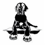 Magnet Dogge 3d big Photo Sculpture Magnet<br><div class="desc">Doggenhaus - Fotoskulptur oder Schlüsselanhänger oder -Button, frei entsprechend Wunsch, entscheiden Sie. Drei Dimensionale Figur, nicht einfach nur ein Magnet. Umriss einer Dogge magnetisch.</div>