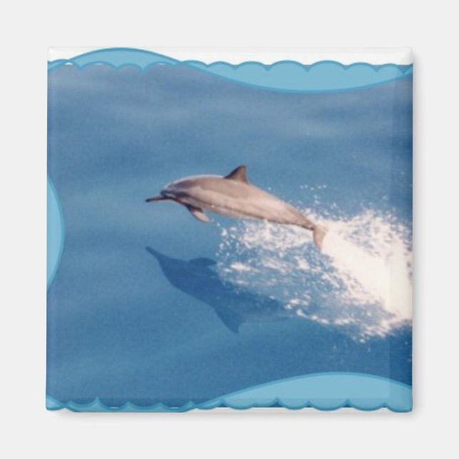 Magnet-Dolphin Magnet (Front)