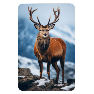 Magnet-Elk Magnet