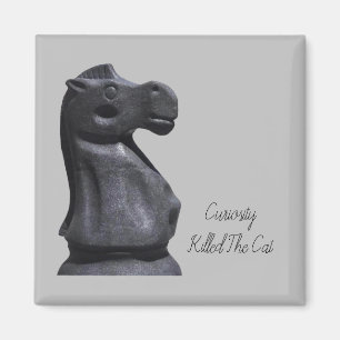 Magnet Expression "Curiosity Killed the Cat"