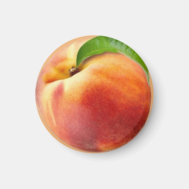 Magnet fishing (Front)