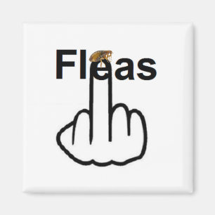 Magnet Fleas Flip