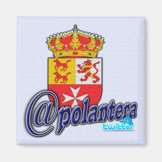 Magnet for refrigerator