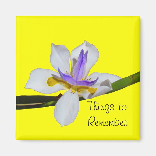 Magnet - Fortnight Lilly (Front)